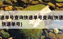 快递快递单号查询快递单号查询(快递单号查询查询 快递单号)