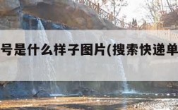 快递单号是什么样子图片(搜索快递单号查询)