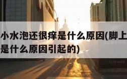 脚上起小水泡还很痒是什么原因(脚上起小水泡很痒是什么原因引起的)
