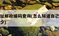 家庭住址邮政编码查询(怎么知道自己家庭邮编是多少)