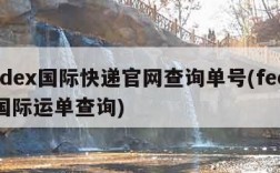 fedex国际快递官网查询单号(fedex国际运单查询)