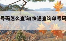 查快递号码怎么查询(快递查询单号码查询物流)