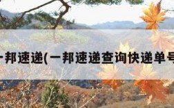 一邦速递(一邦速递查询快递单号)