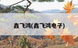 鑫飞鸿(鑫飞鸿电子)