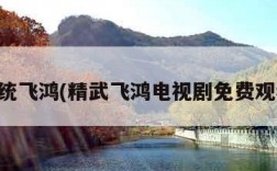 一统飞鸿(精武飞鸿电视剧免费观看)