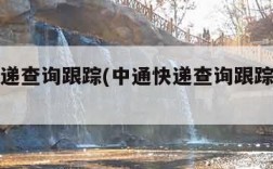 中通快递查询跟踪(中通快递查询跟踪怎么查)