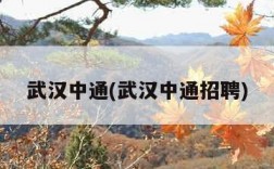 武汉中通(武汉中通招聘)
