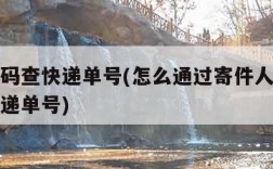 手机号码查快递单号(怎么通过寄件人手机号码查快递单号)