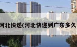 河北快递(河北快递到广东多久)