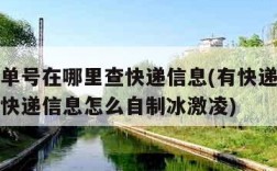 有快递单号在哪里查快递信息(有快递单号在哪里查快递信息怎么自制冰激凌)