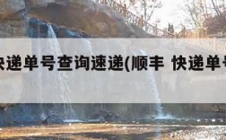 顺丰快递单号查询速递(顺丰 快递单号查询)