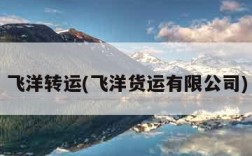 飞洋转运(飞洋货运有限公司)
