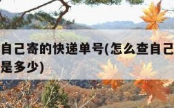 怎么查自己寄的快递单号(怎么查自己寄的快递单号是多少)