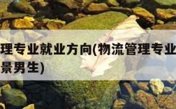 物流管理专业就业方向(物流管理专业就业方向和前景男生)