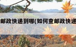 如何查邮政快递到哪(如何查邮政快递到哪里了)