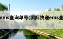 快递ems查询单号(国际快递ems查询单号)
