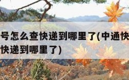 快递单号怎么查快递到哪里了(中通快递单号怎么查快递到哪里了)