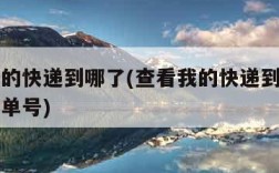 查看我的快递到哪了(查看我的快递到哪了中通快递单号)