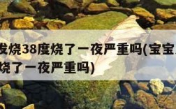 婴儿发烧38度烧了一夜严重吗(宝宝发烧382度烧了一夜严重吗)