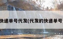 快递单号代发(代发的快递单号)