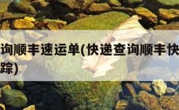 快递查询顺丰速运单(快递查询顺丰快递单号查询跟踪)