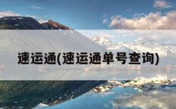 速运通(速运通单号查询)