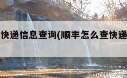 怎么查快递信息查询(顺丰怎么查快递信息查询)