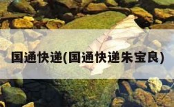 国通快递(国通快递朱宝良)