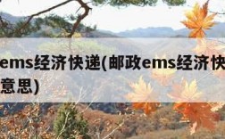 邮政ems经济快递(邮政ems经济快递是什么意思)