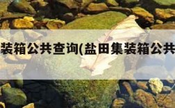 盐田集装箱公共查询(盐田集装箱公共查询易物流)