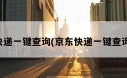 京东快递一键查询(京东快递一键查询官网)