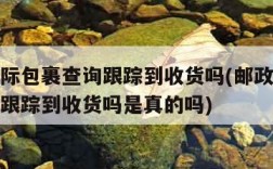 邮政国际包裹查询跟踪到收货吗(邮政国际包裹查询跟踪到收货吗是真的吗)