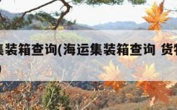 海运集装箱查询(海运集装箱查询 货物追踪CAIU)
