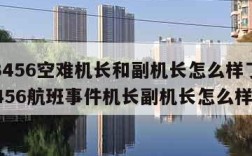 cz3456空难机长和副机长怎么样了(cz3456航班事件机长副机长怎么样了)