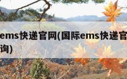 国际ems快递官网(国际ems快递官网单号查询)