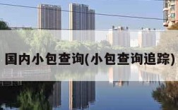 国内小包查询(小包查询追踪)