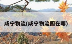 咸宁物流(咸宁物流园在哪)
