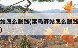 菜鸟驿站怎么赚钱(菜鸟驿站怎么赚钱需要投资多少)