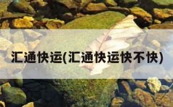 汇通快运(汇通快运快不快)
