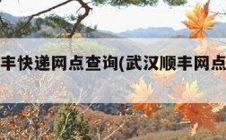 武汉顺丰快递网点查询(武汉顺丰网点查询官网)