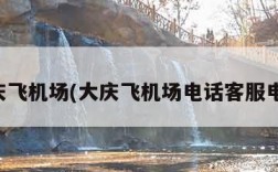 大庆飞机场(大庆飞机场电话客服电话)
