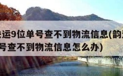韵达快运9位单号查不到物流信息(韵达快运9位单号查不到物流信息怎么办)