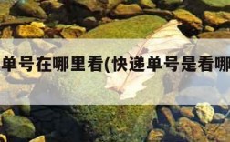 快递订单号在哪里看(快递单号是看哪里图片)