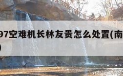 南航97空难机长林友贵怎么处置(南航 林友贵)