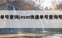 esm单号查询(esm快递单号查询号码查询)