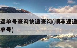 顺丰速运单号查询快递查询(顺丰速递快递单号查询单号)