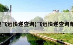 福建飞远快递查询(飞远快递查询单号)