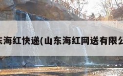 山东海红快递(山东海红网送有限公司)
