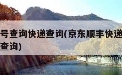 快递单号查询快递查询(京东顺丰快递单号查询快递查询)