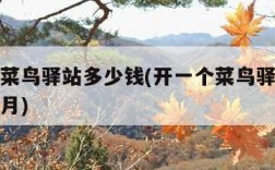 开一个菜鸟驿站多少钱(开一个菜鸟驿站多少钱一个月)